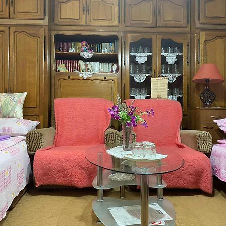 SUD ,,Antal i Olga,, Bed and Breakfast Skorenovac Værelse billede