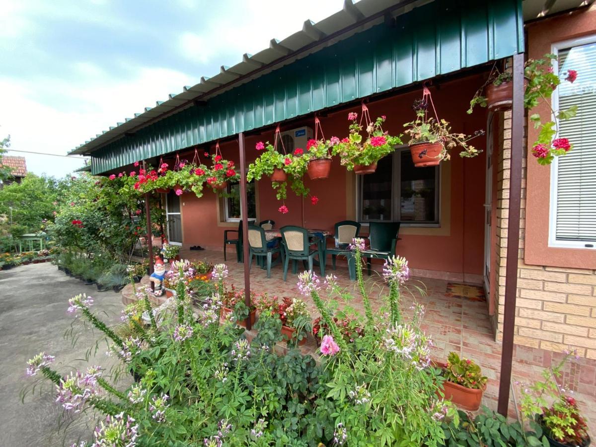 SUD ,,Antal i Olga,, Bed and Breakfast Skorenovac Eksteriør billede