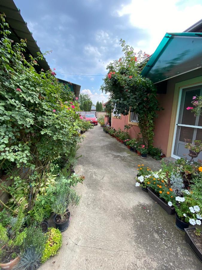 SUD ,,Antal i Olga,, Bed and Breakfast Skorenovac Eksteriør billede