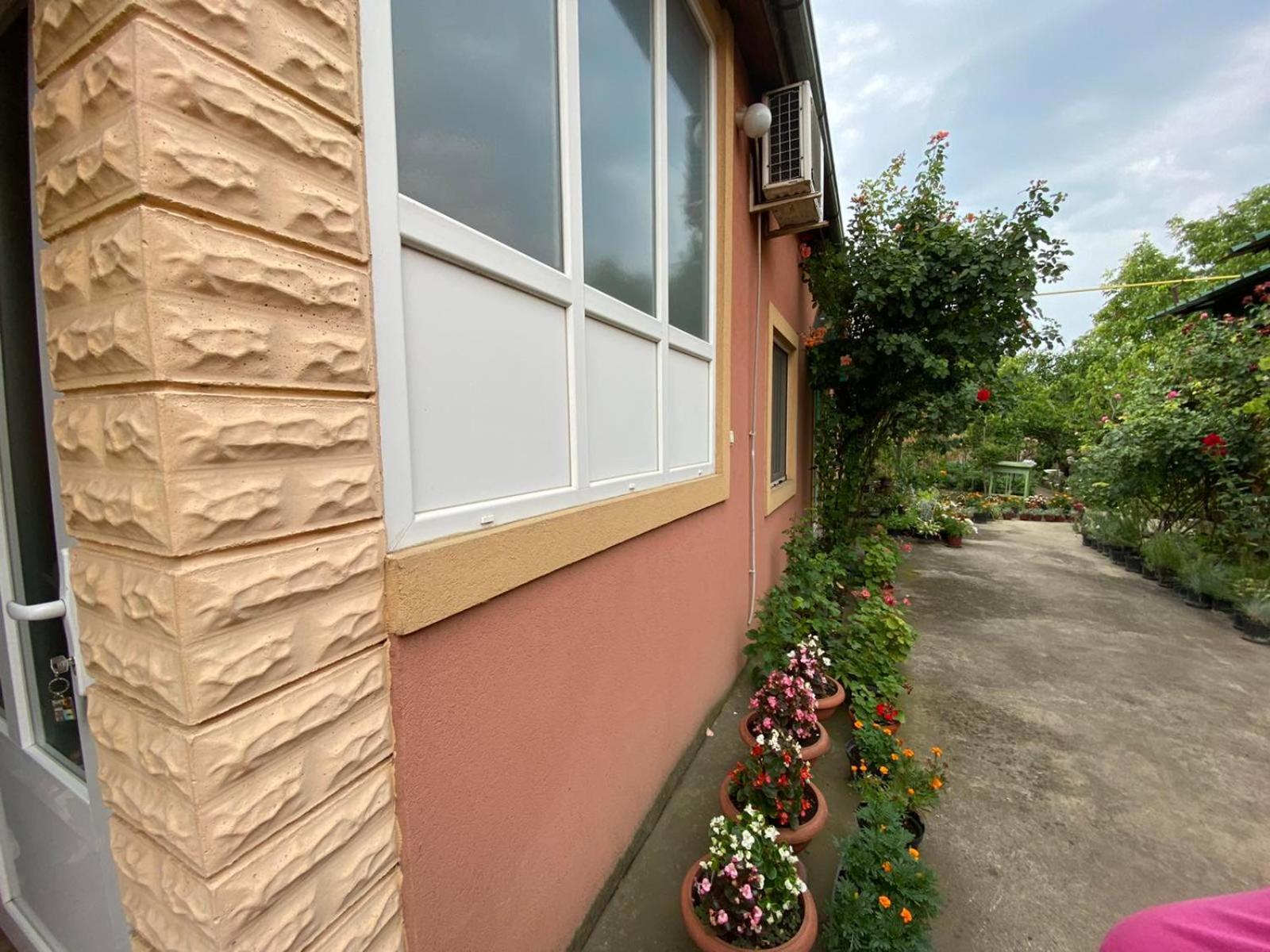 SUD ,,Antal i Olga,, Bed and Breakfast Skorenovac Værelse billede